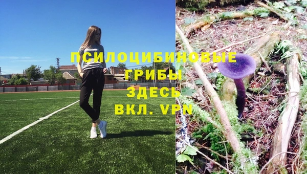 прущие крисы Киреевск