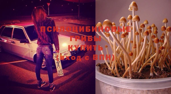 прущие крисы Киреевск