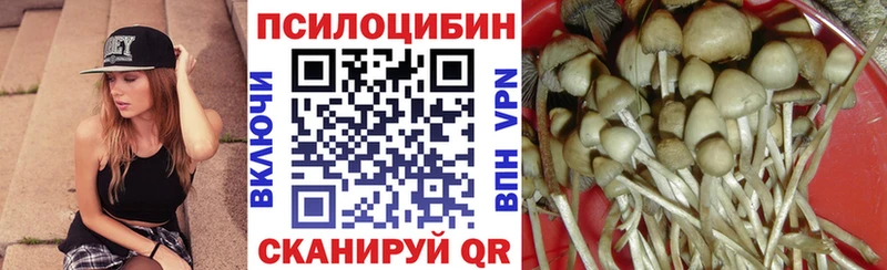 Псилоцибиновые грибы Psilocybe Северск